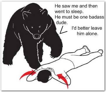 bear-rules.jpg